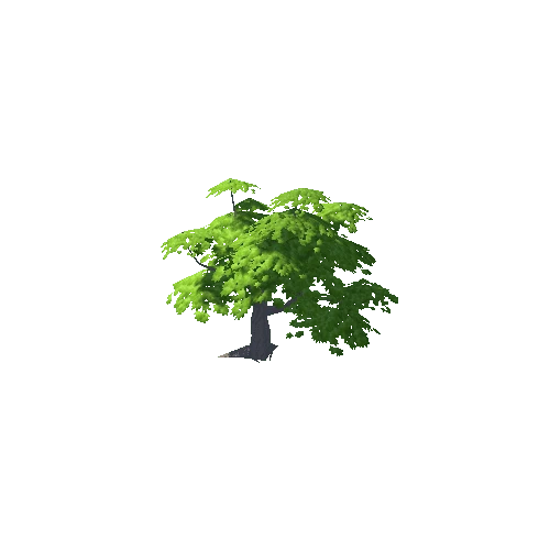 Maple Tree Green Big 03